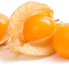 UCHUVA, PHYSALIS, AGUAYMANTO