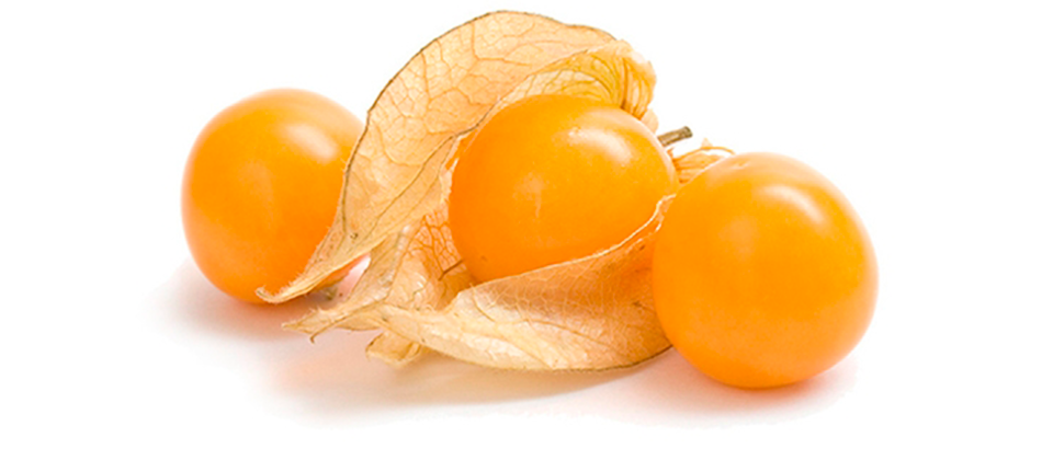 UCHUVA, PHYSALIS, AGUAYMANTO